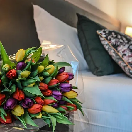 Otel Zara 3*